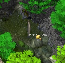 ������#009�Υ���ͥ���/�ե��å��󥰥֥饦��������������12��29�������������ӥ�������