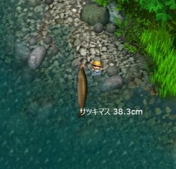 ������#011�Υ���ͥ���/�ե��å��󥰥֥饦��������������12��29�������������ӥ�������