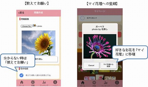 画像ギャラリー No.004のサムネイル画像 / 投稿した花の画像でクイズが楽しめる「花の名前ダウト」が配信開始に
