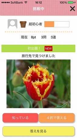 花の名前ダウト
