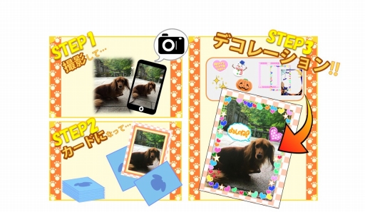 ������#002�Υ���ͥ���/���Ƥ�������������ˤʤ륹�ޥ۸���������֥�󥳥��ס�10��24�����ۿ�