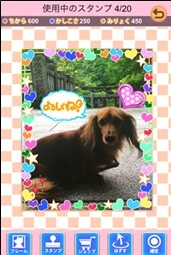 ������#005�Υ���ͥ���/���Ƥ�������������ˤʤ륹�ޥ۸���������֥�󥳥��ס�10��24�����ۿ�