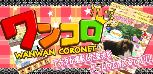 ������#003�Υ���ͥ���/�֥�󥳥��ץ��ޥ۸������ۿ����ϡ��������ȥ��å��奭���ڡ����»�