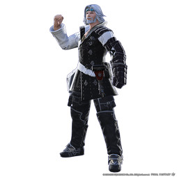 ꡼ No.041 | E3 2015ϡ֥եʥե󥿥XIVŷΥ奬ɡפо줹뿷ʤɤǧǤǿ