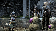 ���������꡼ No.009�Υ���ͥ������ / ��FFXIV����ŷ�Υ����奬��ɡפΥ����꡼���������������������ȡ�