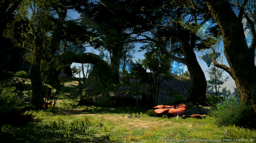 ꡼ No.017 | FFXIVפΥѥå3.1ǡȶõɤȡȥɥ֥ߥ˥ɤо졣3.07ĴƤ줿24ץǥ塼쥿LIVEݡ