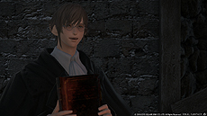 ���������꡼ No.004�Υ���ͥ������ / ��FFXIV����ŷ�Υ����奬��ɡס�Patch 3.15�Υ��֥��ȡ��꡼�������ȡ�������������ر����פȡ��֥��˥ޥ����ݥ�פ��ط����꤬����