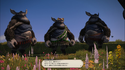 ꡼ No.015 | ƥĤκɤĤ֥եʥե󥿥XIVɤǺ