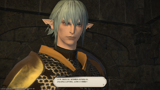 ���������꡼ No.012�Υ���ͥ������ / ��FFXIV�ס��ޥե������Ĥζ�ŷ�����奬��ɡ��ֳ��ԡ�����Υ������˥��饬����Ȥ������ä����ɤ���ϤȤ⤫�����̲��