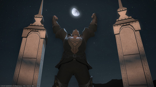 ���������꡼ No.021�Υ���ͥ������ / ��FFXIV�ס��ޥե������Ĥζ�ŷ�����奬��ɡ��ֳ��ԡ�����Υ������˥��饬����Ȥ������ä����ɤ���ϤȤ⤫�����̲��