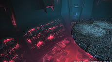 ꡼ No.007Υͥ / FFXIVŷΥ奬ɡסˡإåεϤȤѥå3.3ֺǴӬפΤޤȤ󤬥꡼󥷥åȤȶ˸