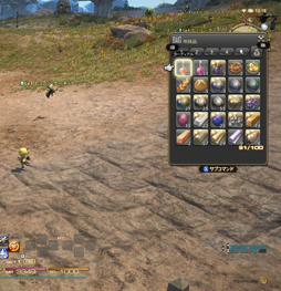 ꡼ No.028 | ֥եʥե󥿥XIVŷΥ奬ɡסۤΥץ쥤䡼ʹʤ֥եפҲ𤷤Ƥߤ