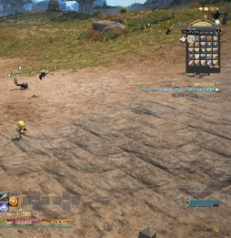 ꡼ No.029 | ֥եʥե󥿥XIVŷΥ奬ɡסۤΥץ쥤䡼ʹʤ֥եפҲ𤷤Ƥߤ