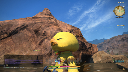 ꡼ No.034 | ֥եʥե󥿥XIVŷΥ奬ɡסۤΥץ쥤䡼ʹʤ֥եפҲ𤷤Ƥߤ