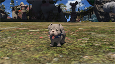 ꡼ No.019 | FFXIVŷΥ奬ɡסѡ1μѥå3.5ֽ̿β̤ơפκǿSSֲϵGAROץΥӥ奢