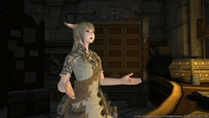 ꡼ No.002 | ֥եʥե󥿥XIVסPatch 3.55aμǥץȥƥʤɤɲáȥץ󥻥ǡɤϥǤʤ를եǤⳫ