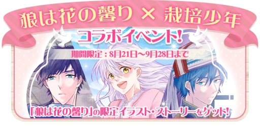 ���������꡼ No.002�Υ���ͥ������ / �ֺ��ݾ�ǯ�פ�̡���ϵ�ϲ֤γ���פȥ���ܡ����ꥭ���ʤɤ��о�