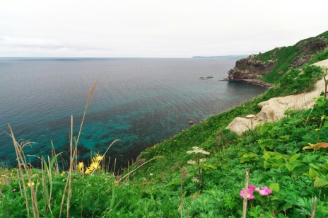 ������#004�Υ���ͥ���/�������赭3�ס�����ϤȤʤ��̳�ƻ�Υ��ݥåȾ��󤬸�������ʤ�������ȡ�ۤ䡤����ʿ����˾�Ǥ���߻�Ÿ˾��ʤɤ�̿��ȤȤ�˥����å�