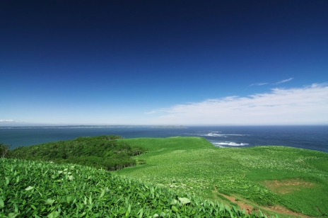 ������#005�Υ���ͥ���/�������赭3�ס�����ϤȤʤ��̳�ƻ�Υ��ݥåȾ��󤬸�������ʤ�������ȡ�ۤ䡤����ʿ����˾�Ǥ���߻�Ÿ˾��ʤɤ�̿��ȤȤ�˥����å�