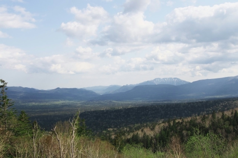 ������#008�Υ���ͥ���/�������赭3�ס�����ϤȤʤ��̳�ƻ�Υ��ݥåȾ��󤬸�������ʤ�������ȡ�ۤ䡤����ʿ����˾�Ǥ���߻�Ÿ˾��ʤɤ�̿��ȤȤ�˥����å�