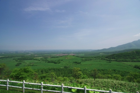 ������#010�Υ���ͥ���/�������赭3�ס�����ϤȤʤ��̳�ƻ�Υ��ݥåȾ��󤬸�������ʤ�������ȡ�ۤ䡤����ʿ����˾�Ǥ���߻�Ÿ˾��ʤɤ�̿��ȤȤ�˥����å�