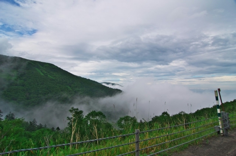 ������#016�Υ���ͥ���/�������赭3�ס�����ϤȤʤ��̳�ƻ�Υ��ݥåȾ��󤬸�������ʤ�������ȡ�ۤ䡤����ʿ����˾�Ǥ���߻�Ÿ˾��ʤɤ�̿��ȤȤ�˥����å�