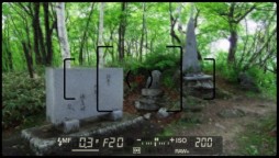 ������#017�Υ���ͥ���/�������赭3�ס�����ϤȤʤ��̳�ƻ�Υ��ݥåȾ��󤬸�������ʤ�������ȡ�ۤ䡤����ʿ����˾�Ǥ���߻�Ÿ˾��ʤɤ�̿��ȤȤ�˥����å�