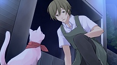 ꡼ No.004Υͥ / ͸ǭԥեܥνץ֤ˤ֡θĤפۿ