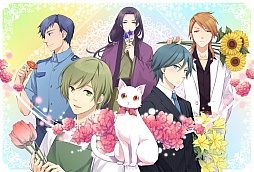 ꡼ No.007Υͥ / ͸ǭԥեܥνץ֤ˤ֡θĤפۿ