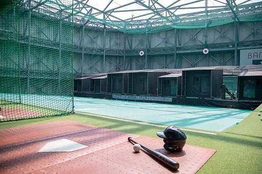 ꡼ No.007Υͥ / ֥ѥץץ꡼25ǯǰ֥ѥץڡ in AKIBAפ817곫