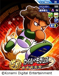 ���������꡼ No.019�Υ���ͥ������ / �ּ¶��ѥ�ե�ץ����פο����ʥꥪ��������ơ����⹻���ۿ���������