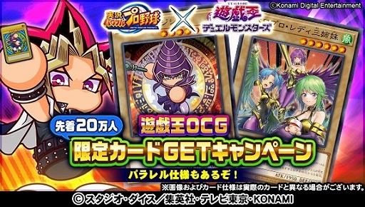 ꡼ No.013 | ֥ѥץץeݡȥѥ2021ͥԤϤҤ˷