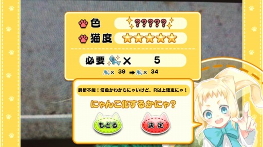 画像ギャラリー No.001のサムネイル画像 / 「猫耳さばいばー!」,久遠が仲間になる「にゃんこたちの初詣」を実施