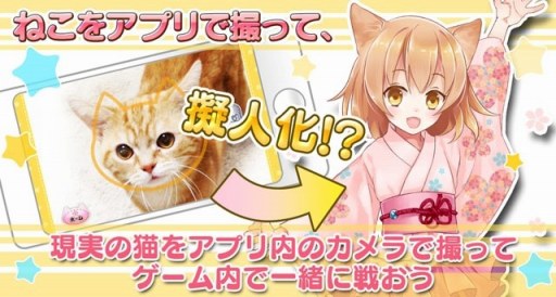 ꡼ No.005Υͥ / ǭФСפֱåפȥܤ»ܡǰܡʥ61곫