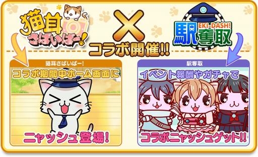 ꡼ No.009Υͥ / ǭФСפֱåפȥܤ»ܡǰܡʥ61곫