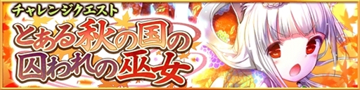 ꡼ No.004Υͥ / ֥ǥΡ륻ɡե󥿥ɥå2.0ס˥塼꡼1018˷