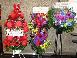 ꡼ No.010 | ˲ãȤδŤҤȻ򡽡̴̲100ͤβ͡ץꥹޥѡƥݡ