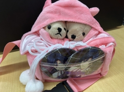 ꡼ No.007 | Ǥʤ˥Хåǥӥ塼䤷ؤΰξħȤ⤤˥Хåºݤ˺äƤߤͽ۰ʾѤä