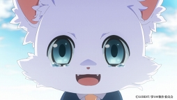 ꡼ No.007Υͥ / TV˥̴̲100ͤβ͡ס2018ǯ7ϡƥPVϤῷʥ饯䥭㥹ȥȤ