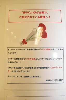 ���������꡼ No.017�Υ���ͥ������ / �֥ץ�󥹥����2019�ץ����ץ�ޤǾ�̤˵��������Ҥ�����̴�ζ��顼����̴100�ס߽��ո�BAY HOTEL�Υ���ܤ�������