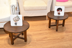 ���������꡼ No.029�Υ���ͥ������ / �֥ץ�󥹥����2019�ץ����ץ�ޤǾ�̤˵��������Ҥ�����̴�ζ��顼����̴100�ס߽��ո�BAY HOTEL�Υ���ܤ�������