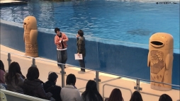 画像ギャラリー No.010のサムネイル画像 / 「夢王国と眠れる100人の王子様」と「茜さすセカイでキミと詠う」が8日,9日開催のアイランドフェスタに参加。公式レポートが公開