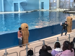 画像ギャラリー No.013のサムネイル画像 / 「夢王国と眠れる100人の王子様」と「茜さすセカイでキミと詠う」が8日,9日開催のアイランドフェスタに参加。公式レポートが公開