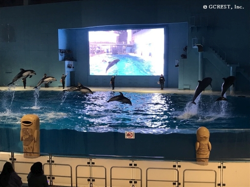 ꡼ No.018 | ̴̲100ͤβ͡פȡְǥߤȱӤפ89ŤΥɥե˻áݡȤ