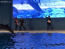 画像ギャラリー No.019のサムネイル画像 / 「夢王国と眠れる100人の王子様」と「茜さすセカイでキミと詠う」が8日,9日開催のアイランドフェスタに参加。公式レポートが公開