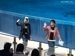 画像ギャラリー No.021のサムネイル画像 / 「夢王国と眠れる100人の王子様」と「茜さすセカイでキミと詠う」が8日,9日開催のアイランドフェスタに参加。公式レポートが公開