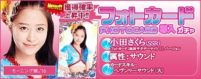 ꡼ No.025Υͥ / ֥ϥץåץ饤֡ץ⡼˥̼16ΥեȥɡˢǡʥȡVer.פо