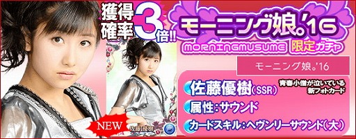 ꡼ No.008Υͥ / ֥ϥץåץ饤֡סʳڶʡȰηġɤۿ