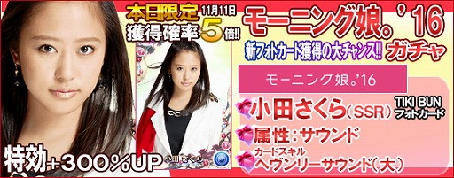 ꡼ No.010Υͥ / ֥ϥץåץ饤֡סڶʡTIKI BUNɤۿ