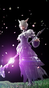限定新品plus ヤシュトラ様専用 | revias.jp